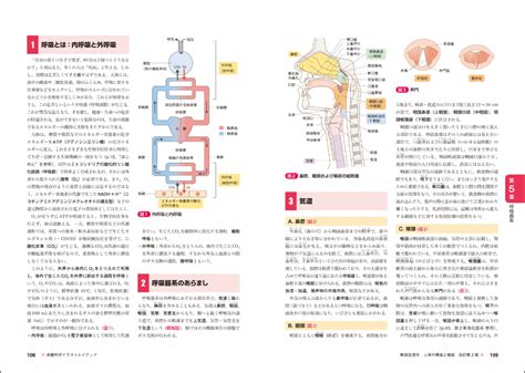 栄養科学イラストレイテッド：解剖生理学 人体の構造と機能 改訂第2版 羊土社