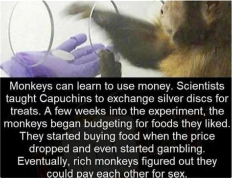 That Went From Money To Sex Very Quickly R HolUp