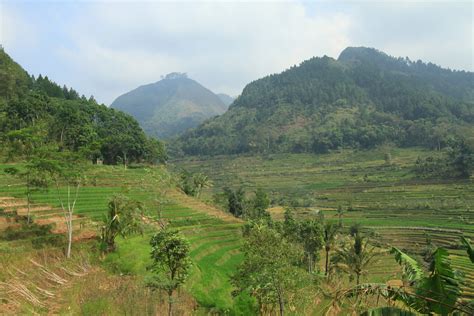 Hiking To Candi Selogriyo Selogriyo Temple With Some More Rice