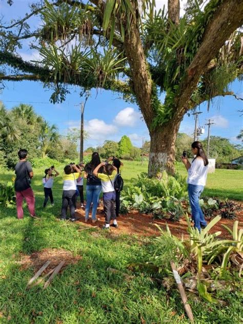 Crianças e adolescentes aprendem sobre preservação da Amazônia a partir