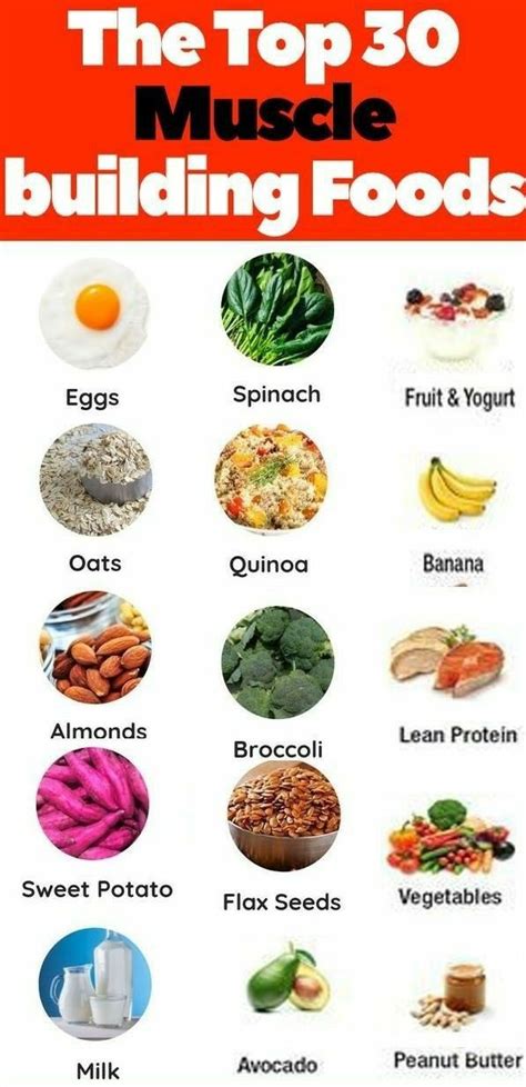 Top 30 Muscle Building Foods