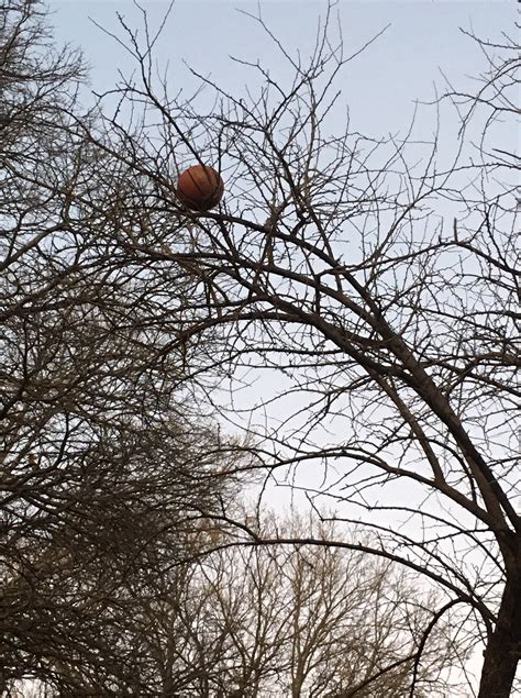 Richardson, Texas’ Hidden Waterfall | KJ’s Random Notes