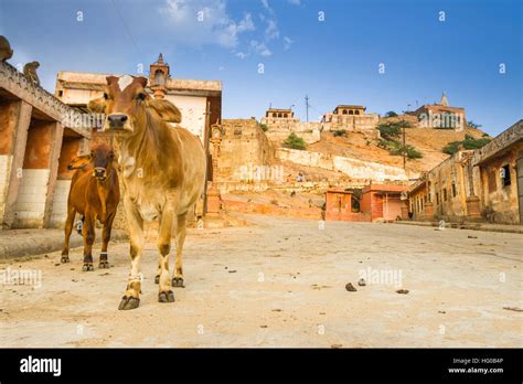 Ordinary life around of sun Temple named Surya Mandir. Jaipur ...