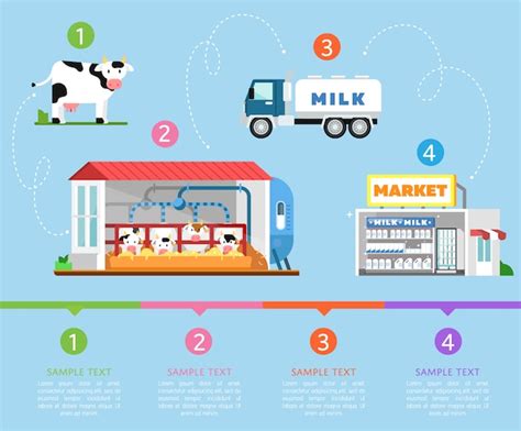 Premium Vector Stages Of Milk Production Infographics