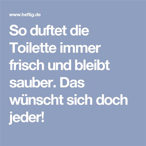 So Einfach Machst Du Dir Tabs F R Eine Saubere Toilette Selber