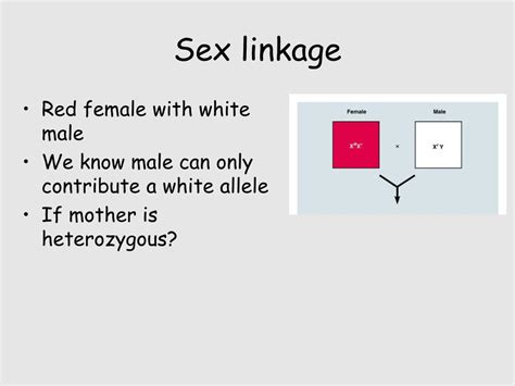 Ppt Linkage Sex Linkage Pedigrees Powerpoint Presentation Free