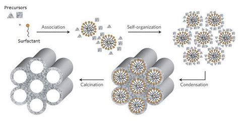 16 Schematic Overview Of A Typical Self Assembly Self Organization Download Scientific