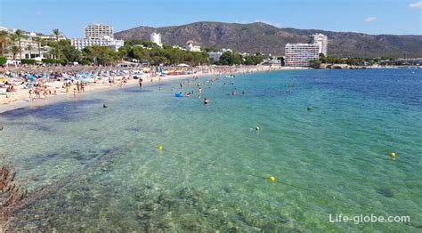 Palmanova Beach Mallorca Playa Palmanova