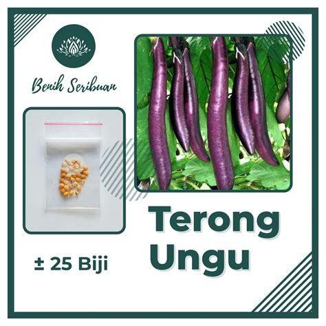 Jual Biji Benih Terong Ungu Panjang F Tangguh Super Bibit Sayuran