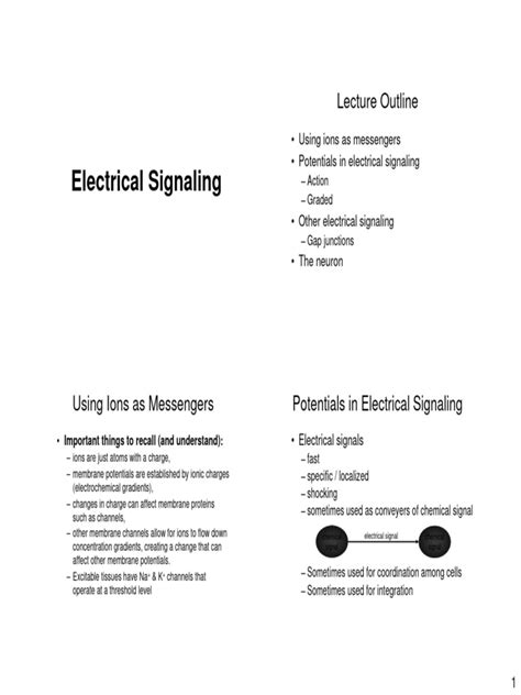 Electrical Signaling-1 | PDF | Action Potential | Membrane Potential