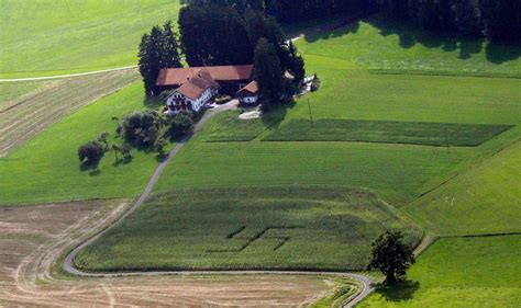 Mysterious Forest Swastika In Germany Remained Unnoticed Until 1992
