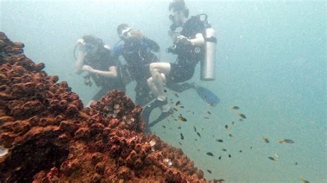 Discover Scuba Diving In Sri Lanka Earl Shipwreck Youtube