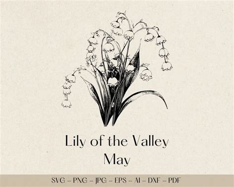 Lily Of The Valley Svg May Birth Flower Svg Outline Drawing Etsy