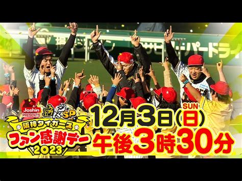 虎バン 阪神タイガース応援チャンネル Abcテレビ公式