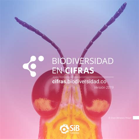 Sib Colombia