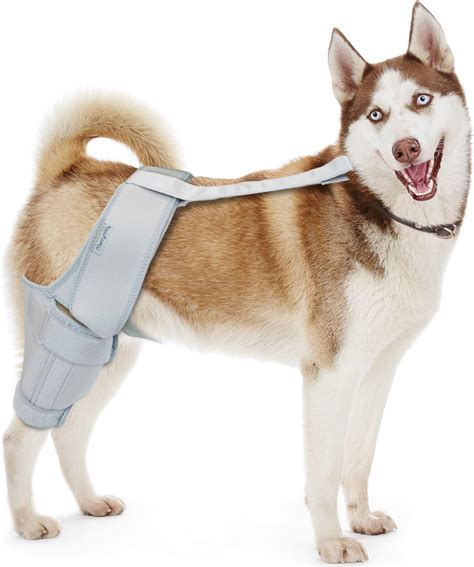 MerryMilo Rodillera Para Perro Soporte De Pierna Para Perros Grandes Y