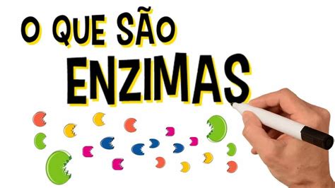 Enzimas O Que S O Defini O Como Funcionam Classifica O E Exemplos