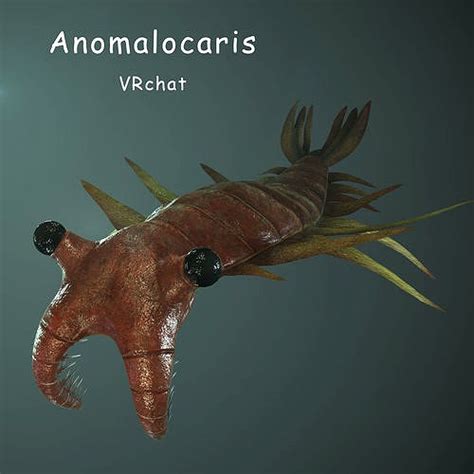 Anomalocaris 3d model