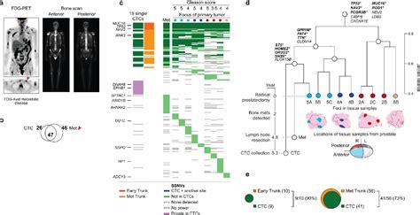 Figure From Whole Exome Sequencing Of Circulating Tumor Cells