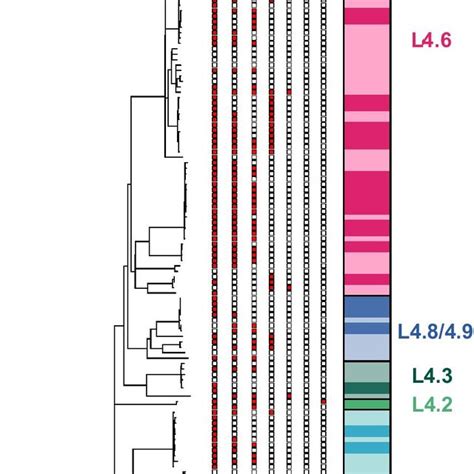 Drug Resistance And Molecular Clusters Of Multidrug Resistant MDR