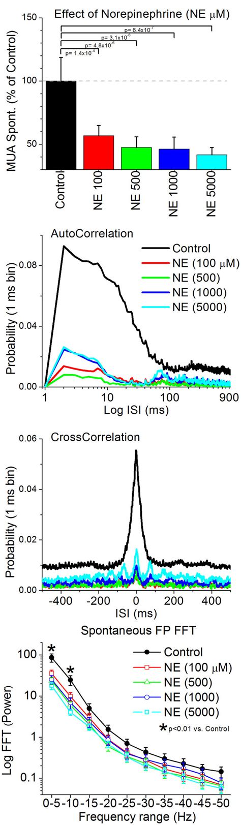 Population Data Showing The Effects Of Cortical Noradrenergic