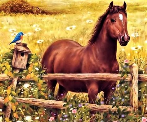 Horse And Bird Pretty Art Horse Bird Hd Wallpaper Peakpx