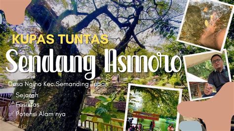 Full Review Wisata Alam Sendang Asmoro Ngino Semanding Tuban Youtube