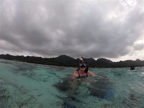 Snorkel Cook Islands Rarotonga 2019 All You Need To Know BEFORE You