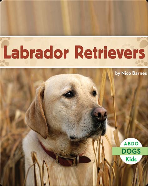 Labrador Retrievers Book by Nico Barnes | Epic