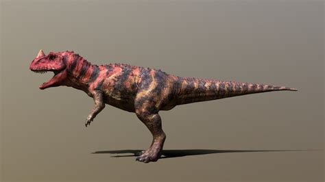 Ceratosaurus 3d Models Sketchfab