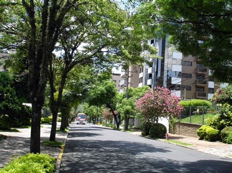 Cidade Verde Juntos Por Um Futuro Melhor Ruas Arborizadas