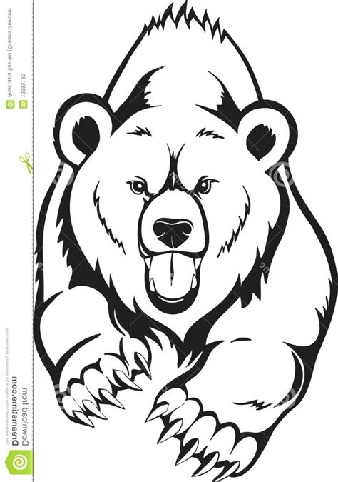 Bear Cute Drawing | Free download on ClipArtMag