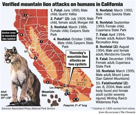 Mountain Lions In California Map Wells Printable Map