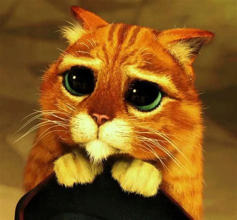Create meme "the cat from Shrek GIF with eyes, I apologize, Shrek cat ...