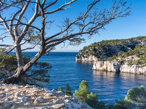 Visiter les calanques de Marseille - Restaurants avec terrasse 