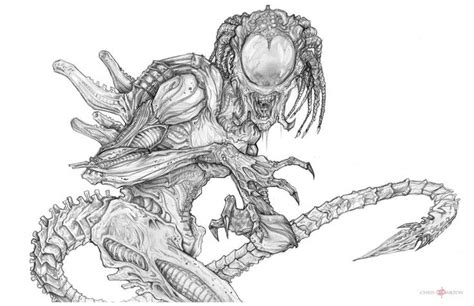 Predalien Hybrid By Chrisozfulton On Deviantart Predator Predator