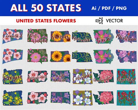 50 States Png States Flower All 50 States Vector States Clip Art