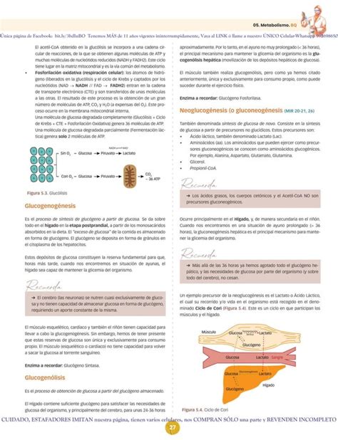 Manual CTO Bioquímica 12 edición pdf