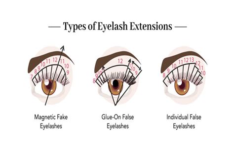 How Long Do Eyelash Extensions Last An Expert Eyelash Guide