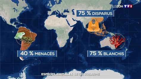 Réchauffement climatique 10 des espèces risquent de disparaître en 2100