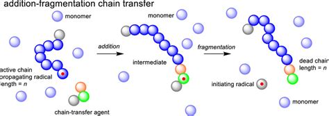 Mechanism For Additionfragmentation Chain Transfer In Radical