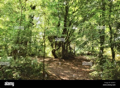 Choose Your Path Stock Photo Alamy