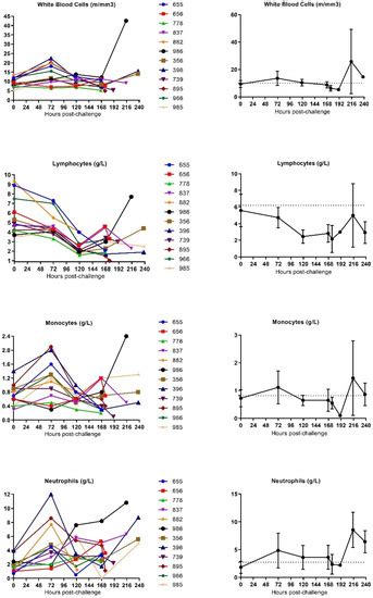 Vaccines Special Issue Vaccine Development Needs For Marburg Virus