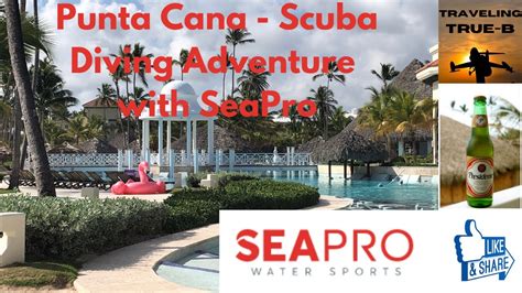 Punta Cana Seapro Divers Our Adventure Dive Experience Youtube