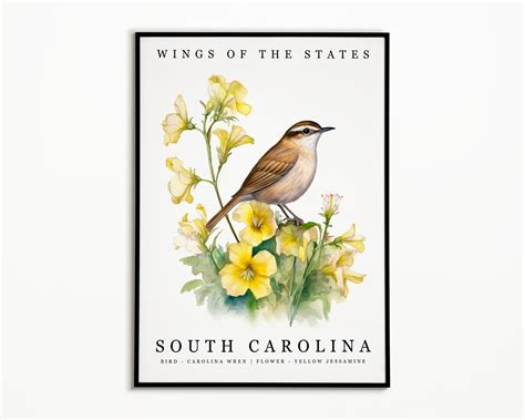 South Carolina State Bird Carolina Wren and State Flower Yellow Jessamine Watercolor Art, State ...