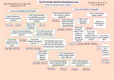 Dichotomous Key Templates Edrawmax Free Editable