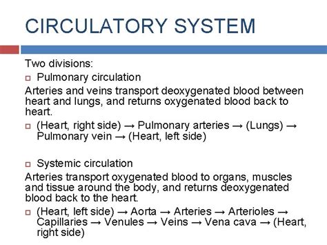 Circulatory System Year 10 Sport Science Circulatory System