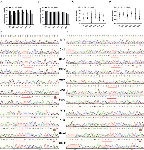 Frontiers Crispr Cas A Based Biosensing Platform For The On Site