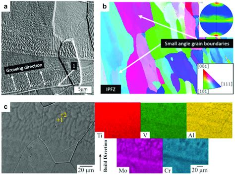 A β Grains With Planar Solidification Mode And Cellular Structure Download Scientific