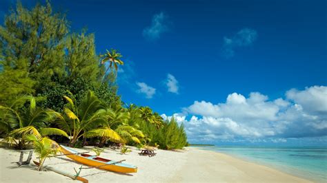 Beach Island Nature Tropical White Sand Palm Trees Boat